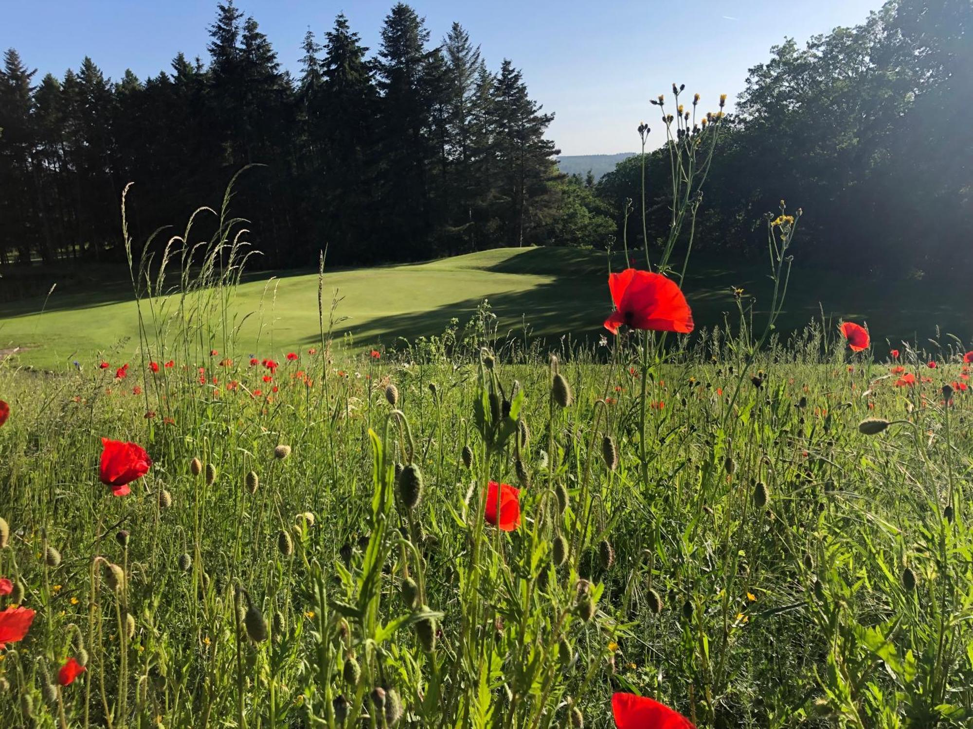 Waldsolms Gaestehaus Koehler المظهر الخارجي الصورة