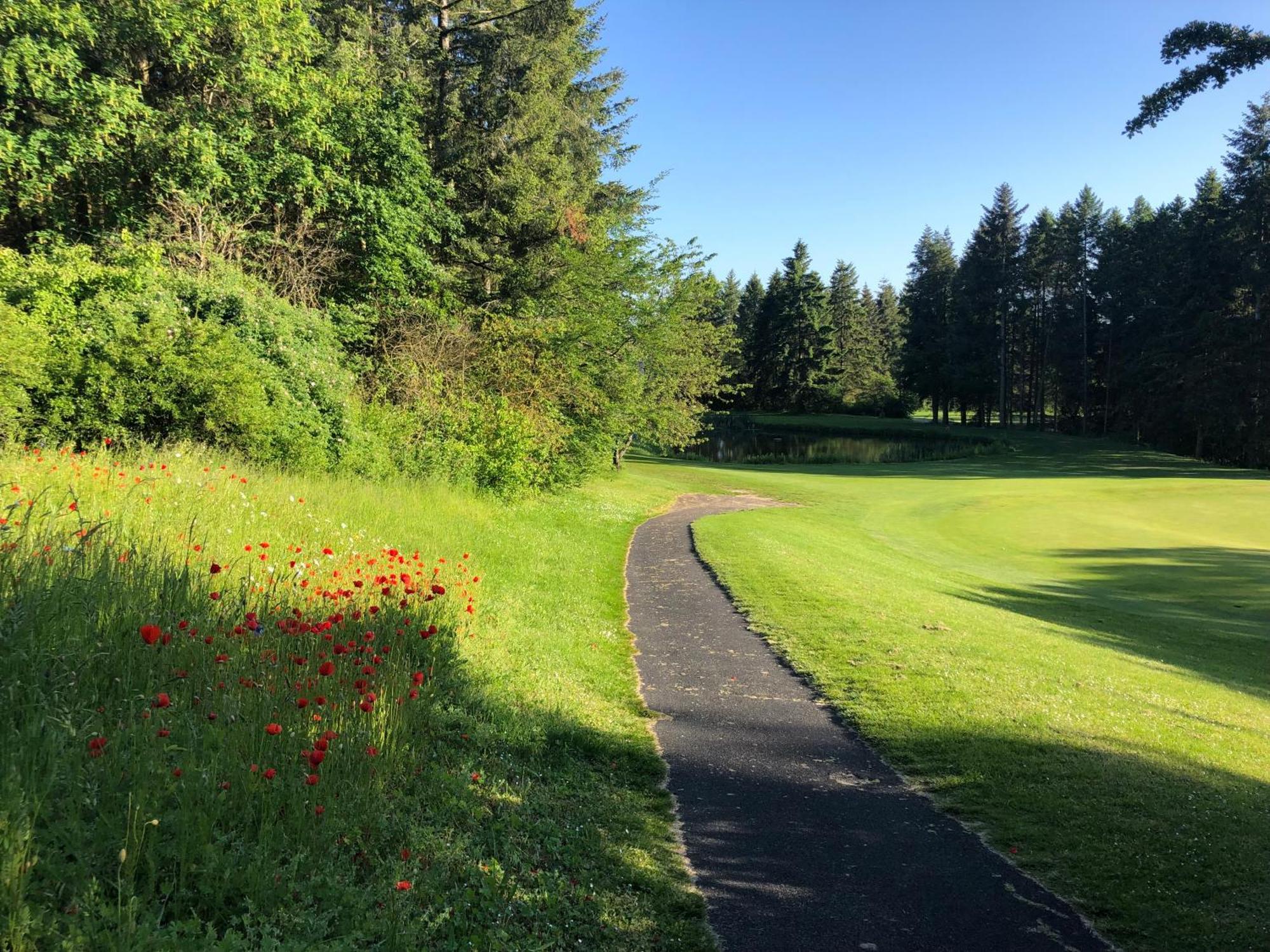 Waldsolms Gaestehaus Koehler المظهر الخارجي الصورة